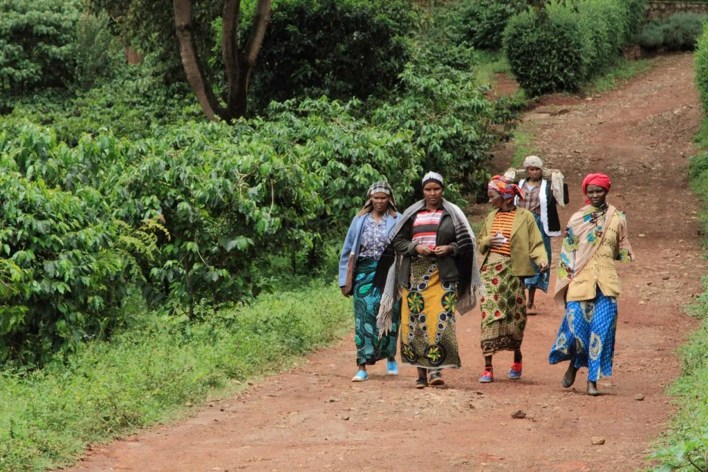 PWDT gallery photo 14